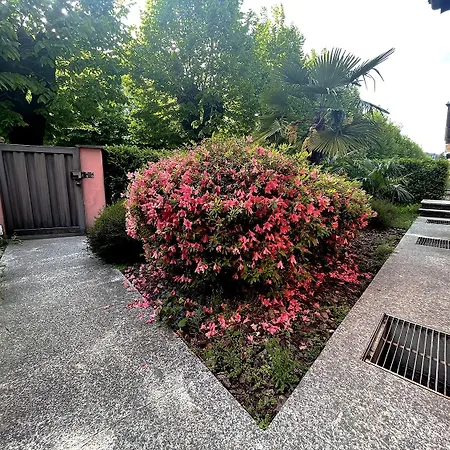 Riviera Appartement *